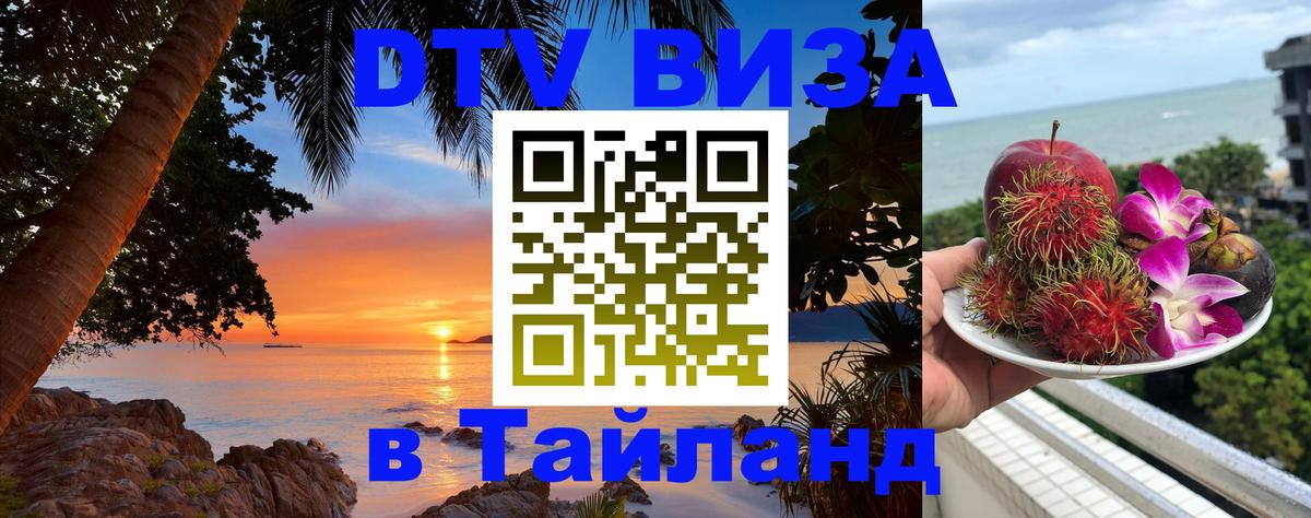 Оформление DTV визы под ключ: стоимость и тарифы, только загранпаспорт - Подгорица  20.11.2025 